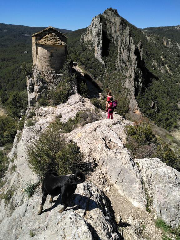 Casa Canut Tartareu المظهر الخارجي الصورة